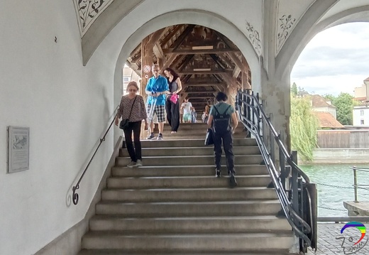 IMG 20230803 162524