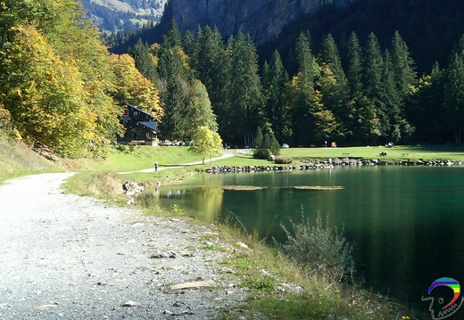 IMG00053-20101003-1240