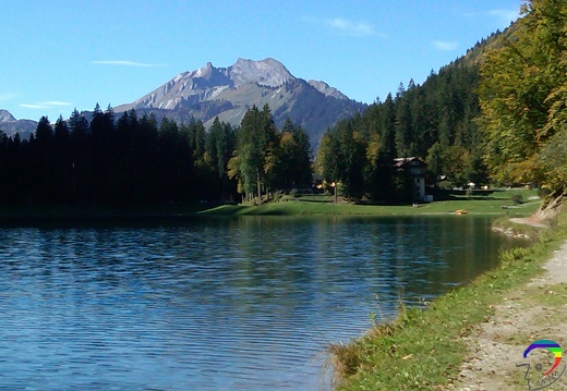 IMG00051-20101003-1231